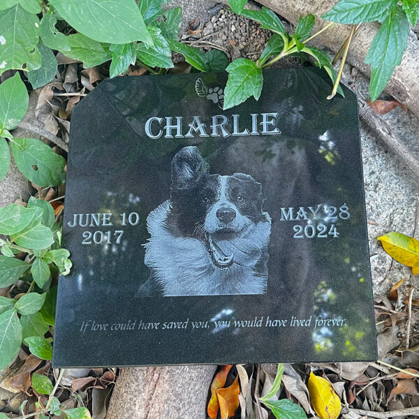 Outdoor Elegant Personalized Pet Memorial Plaque In Loving Memory garden marker - Image 3